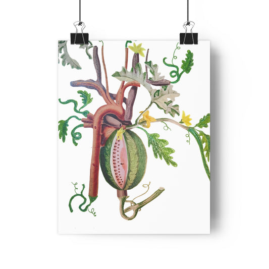 Watermelon Heart (Mixed Media Collage Fine Art Giclee Print)