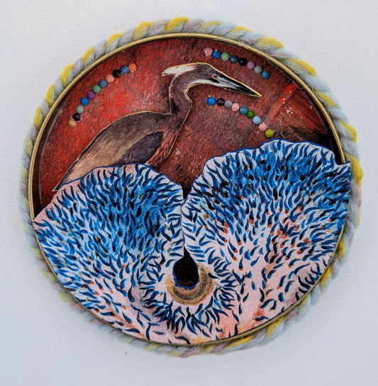 Reddish Egret (small assemblage)